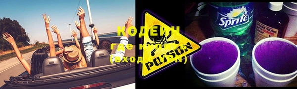 ешки Инта