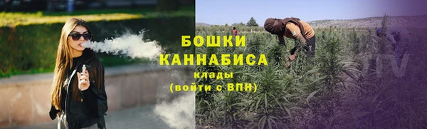 ешки Инта