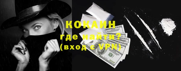 ешки Инта