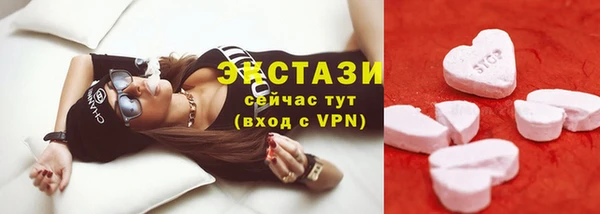 ешки Инта