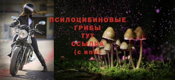 ешки Инта